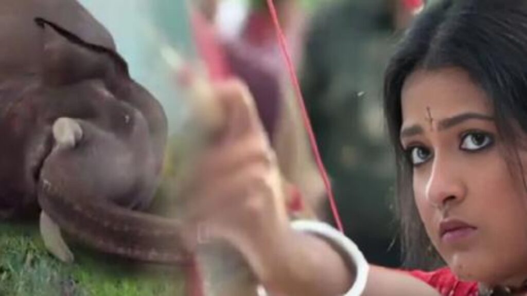 Rangamati Tirandaj actress